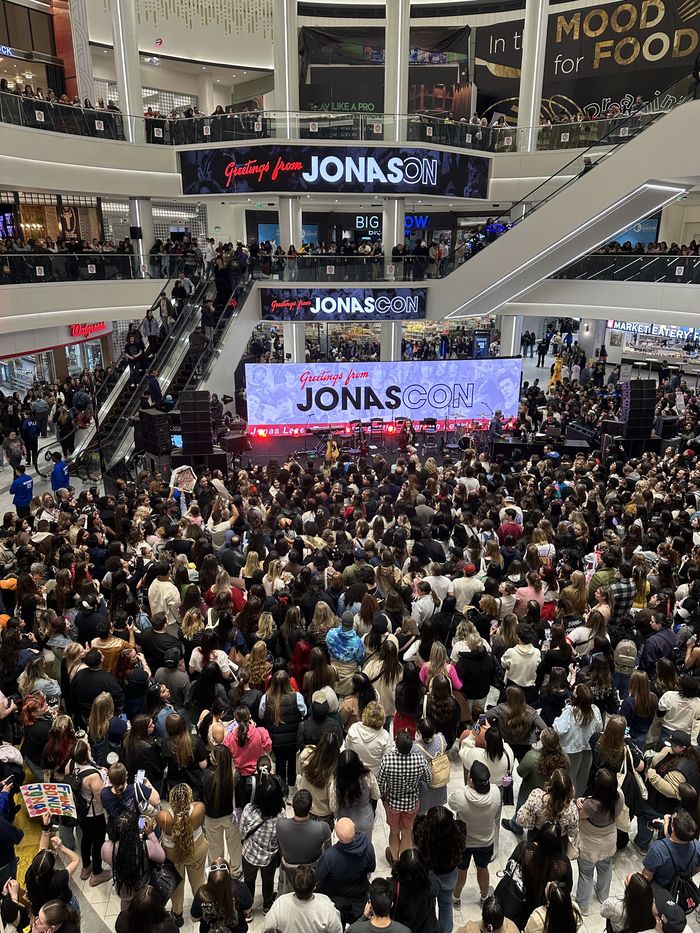 The crowd at JonasCon